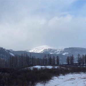 Meet your Posher, Boldoo